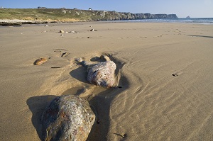 plage du finistere